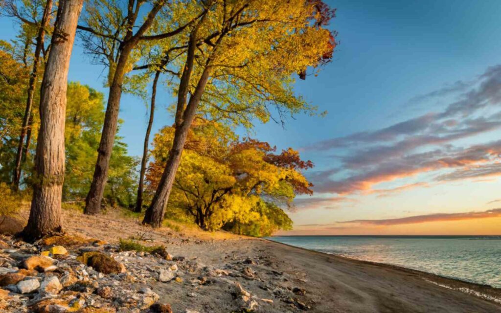 Lakeport State Park Beach in Michigan